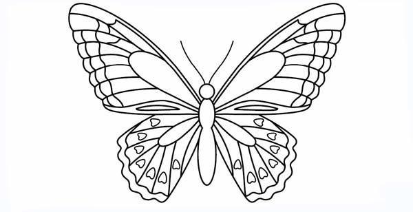 plantilla-de-mariposa-recortable5