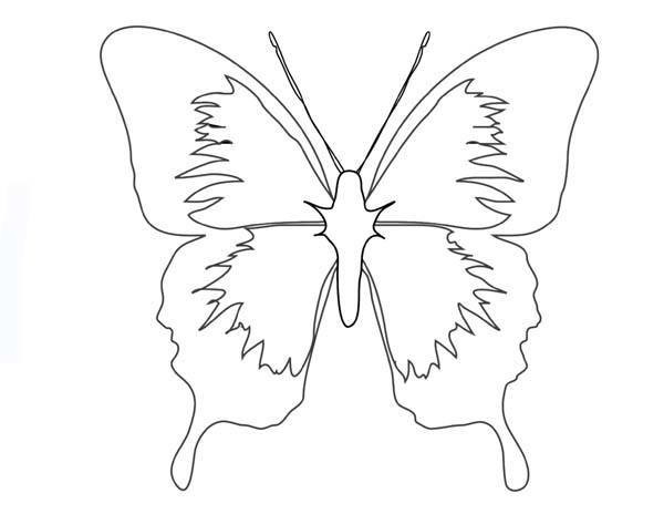 mariposa-recortable-para-colorear2